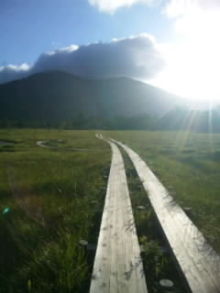 blog_import_54d5f5d47137d