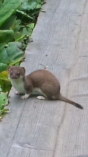 blog_import_54d5f5d59ebb2