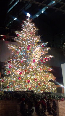 blog_import_54d5f61e2a3f1