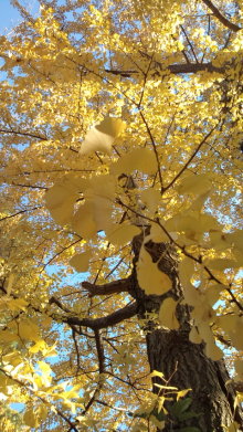 blog_import_54d5f62614830