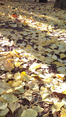 blog_import_54d5f628075db