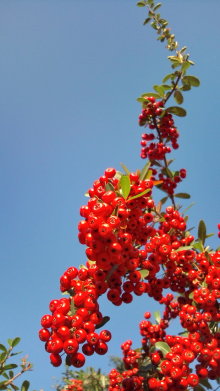 blog_import_54d5f629a8487