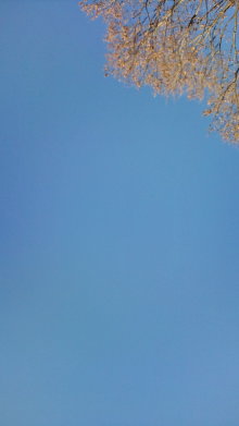 blog_import_54d5f62ae5a70