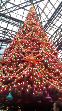 blog_import_54d5f6387aa67