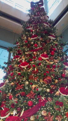 blog_import_54d5f650ad52c