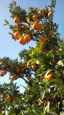 blog_import_54d5f66669420