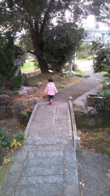 blog_import_54d5f671f3869