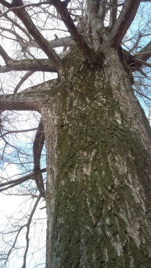 blog_import_54d5f6738f433