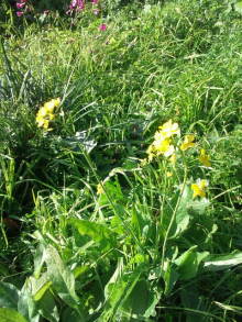 blog_import_54d5f685e2bf9