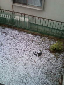 blog_import_54d5f688b0f3a