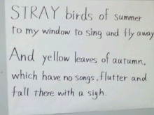 blog_import_54d5f69461898