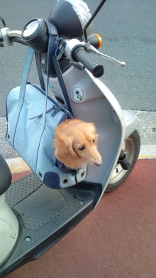 blog_import_54d5f6a906476