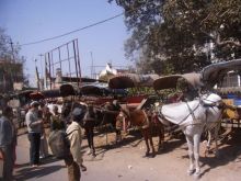 blog_import_54d5f6d263fee