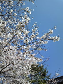 blog_import_54d5f7238ccae