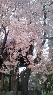 blog_import_54d5f728124b3