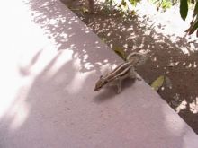 blog_import_54d5f7302f602