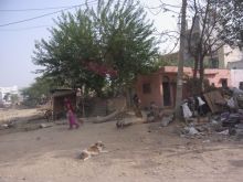 blog_import_54d5f73868891