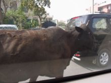 blog_import_54d5f73a86c48