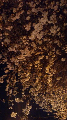 blog_import_54d5f746c5aa3