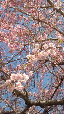 blog_import_54d5f75833037