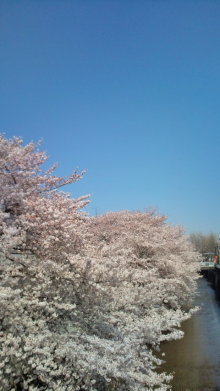 blog_import_54d5f75e50555