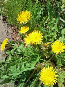 blog_import_54d5f75fe5add