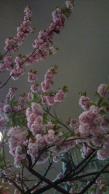 blog_import_54d5f765cd2dd