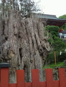 blog_import_54d5f78a9f009