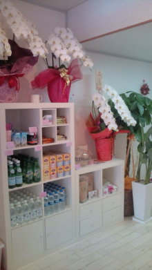 blog_import_54d5f792a6b06