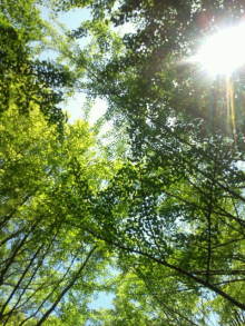 blog_import_54d5f7985308e