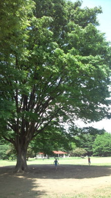 blog_import_54d5f79a49eef