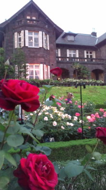 blog_import_54d5f79d48024