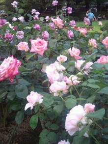 blog_import_54d5f79e852b9