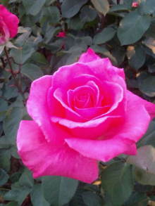 blog_import_54d5f79f6b48a