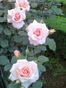 blog_import_54d5f7a06e88d