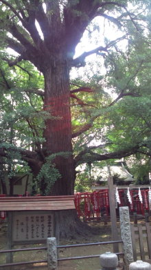 blog_import_54d5f7bd1501e