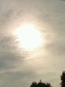 blog_import_54d5f7c1aefcf