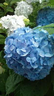 blog_import_54d5f8092fb13