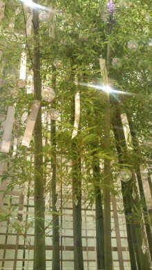 blog_import_54d5f820ac1f1