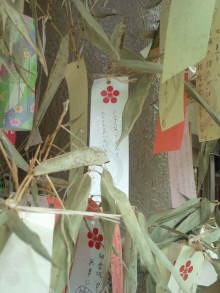 blog_import_54d5f82d19c5c