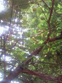 blog_import_54d5f82e7fdb2