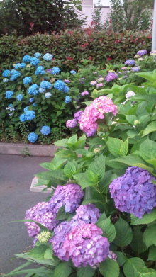 blog_import_54d5f83226124