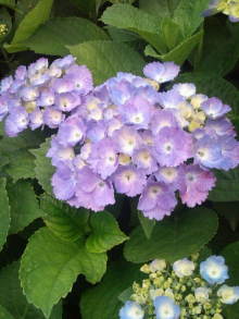 blog_import_54d5f833d35c0