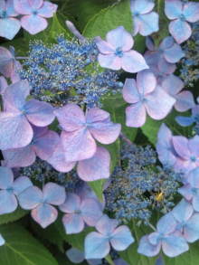 blog_import_54d5f837484e5