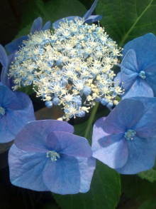 blog_import_54d5f8387bf3f