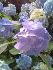 blog_import_54d5f83b0e3a0