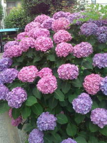 blog_import_54d5f83d37f84