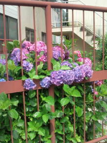 blog_import_54d5f83e4c541