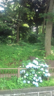 blog_import_54d5f840bf96e