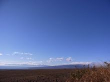 blog_import_54d5f86632417